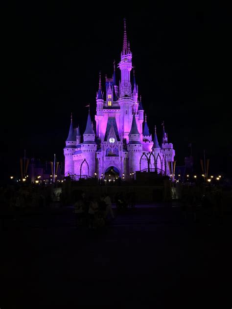 Cinderella Castle Disney World At Night