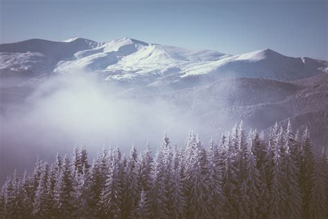 Winter Mountains Fir Fog Nature Wallpapers Hd Desktop And Mobile