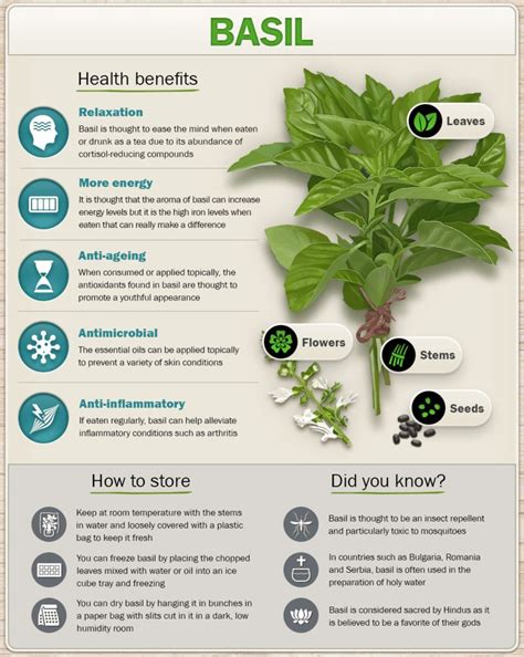Although health insurance is not required for your visit at the health service, if you are not currently covered by a student health insurance. 10 Culinary Herbs And Spices With Remarkable Health Benefits | Page 10