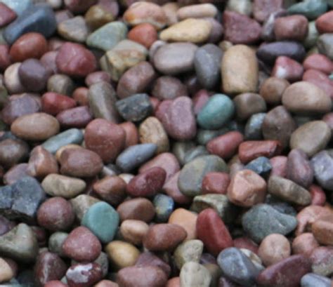 Smooth Montana Multi Colored River Rock Pixie Pebbles Etsy
