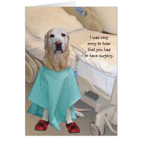 Funny Get Well Lab In Hospital Gown Card