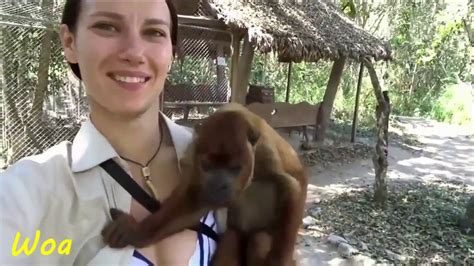 Monkey Teasing Girl For Adults Only The Best Positions And Dumps Funny Youtube