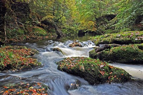 Moss Rock River Scotland Water Scottish Landscape Scenic Nature
