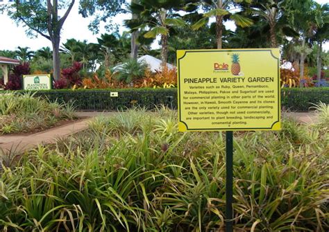 The 10 Best Dole Plantation Tours And Tickets 2021 Oahu Viator