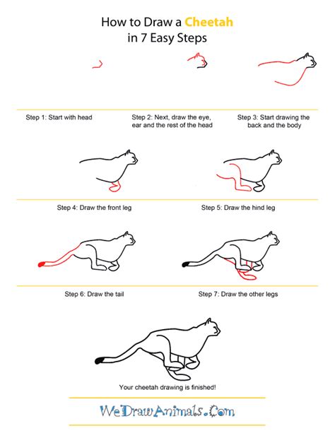 Https://techalive.net/draw/how To Draw A Baby Cheetah Step By Step Easy