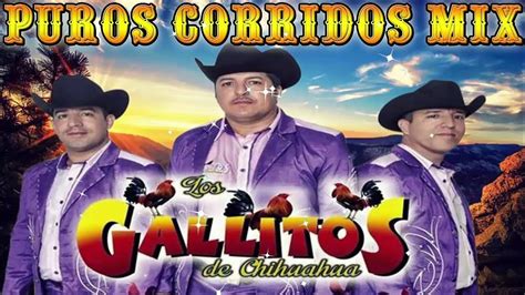 Los Gallitos De Chihuahua Las Mejores Canciones Exitos Mix 2022