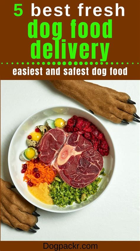 Best Dog Food Delivery Service For Fresh Cooked Food Dogpackr Dog