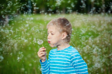 Kid Blowing Dandelion Outdoor On Green Stock Photo Image Of Person
