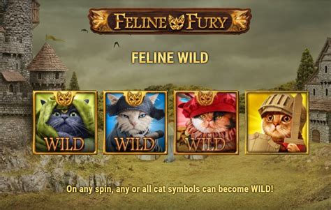 Feline Fury Demo Slot Free Play