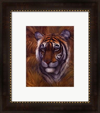 Safari Tiger Fine Art Print By Joe Sambataro At FulcrumGallery Com