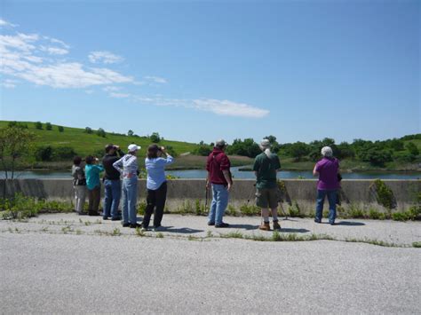 Birding Tour With Nyc Audubon Freshkills Park