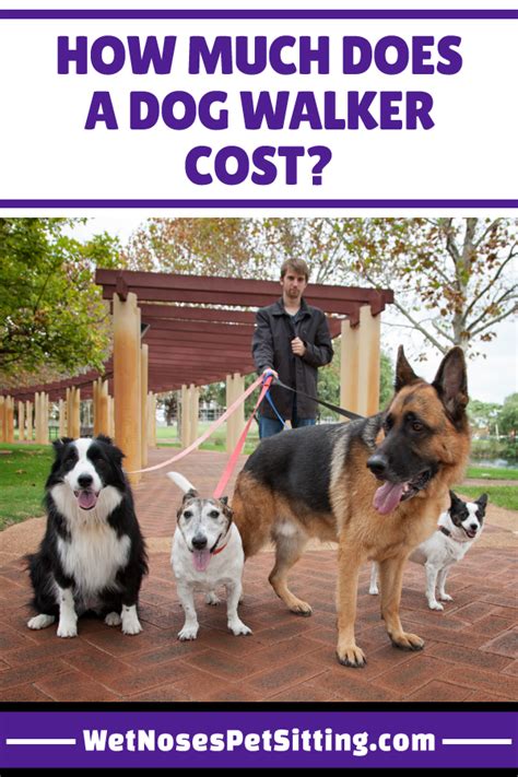 Making dogs & cats look great is our passion! How Much Does a Dog Walker Cost | Dog walker, Dogs, Cat sitter