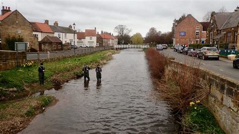 The River Leven At Great Ayton Out And About