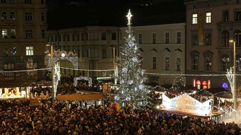 Brněnská Jedle či Douglaska V Třebíči Vyberte Nejhezčí Vánoční Strom