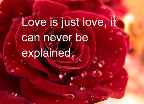 40 Best Valentine Day Messages Happy valentines day quotes love.