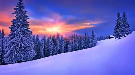 Nature Winter Landscape Snow Wallpapers Hd Desktop