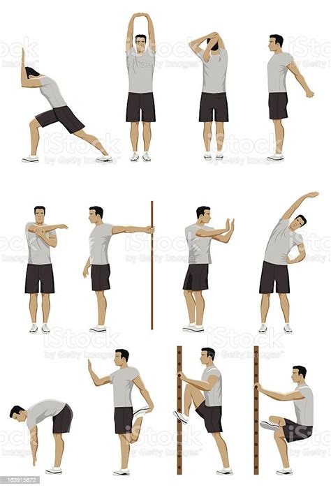 Stretching Routine Stock Illustration Download Image Now Stretching
