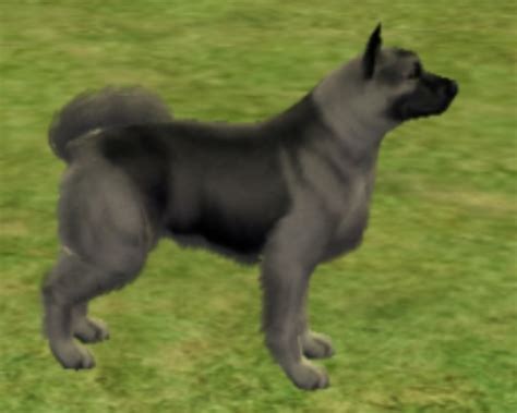 Mod The Sims Norwegian Elkhound