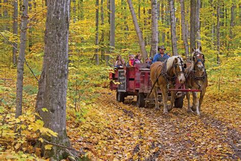 Knaebes Apple Farm And Orchard Michigan Country Lines Magazine