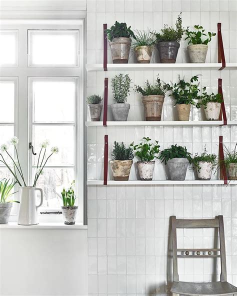 Indoor Herb Gardens On Instagram For The Kitchen Wellgood Herb