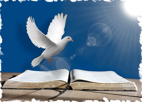 Open Bible With Dove