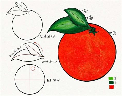 How To Draw An Orange Easily Step By Step Tutorial Choose Marker