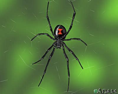 Answers video is also added for look at the clues on the cards to get the points shown on the wheel! 20 best Insects Fun Facts for Kids images on Pinterest