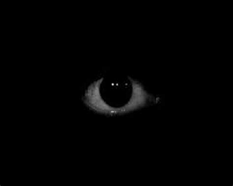 2k Free Download Eye Black Cat Cats Eyes Halloween Kitten