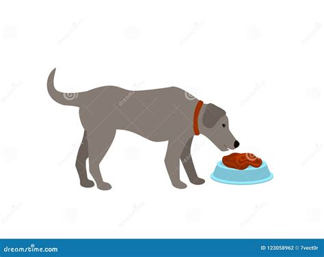 Dog Eating Stock Illustrations 8291 Dog Eating Stock Illustrations