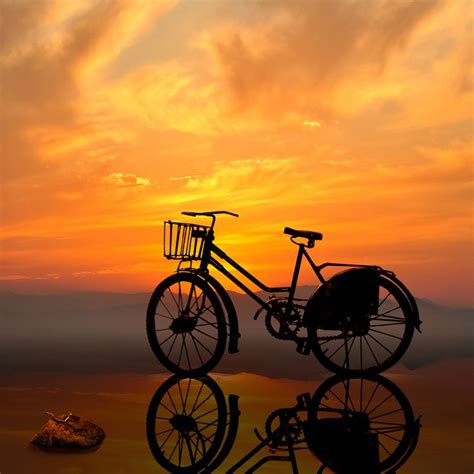 Old Fashioned Bicycle And Sunset Pinterest