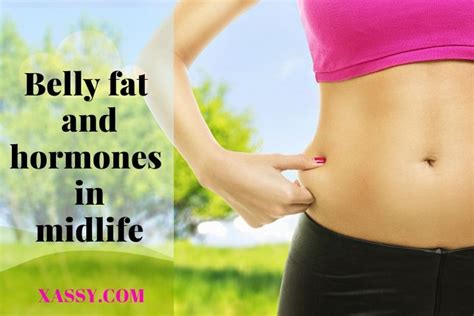 Types Of Belly Fat In Midlife Types Of Belly Fat In Midlifetypes Of
