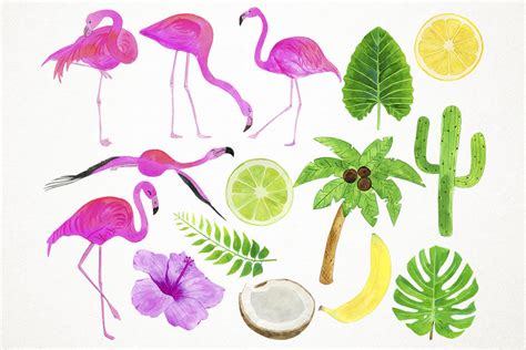 Watercolor Flamingos Clipart Flamingo Clip Art By