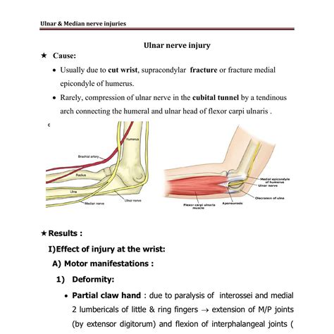 Ulnar And Median Nerve Injuriesdoc Docdroid