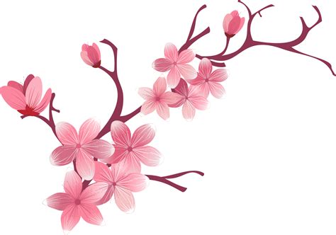 Png Trasparent ПРОЗРАЧНЫЙ ФОН розовая вишня цветок сакуры сакура