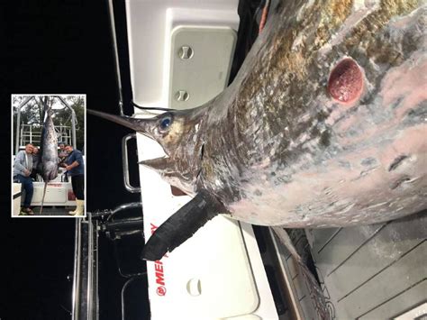 South Coast Fishermen Break Records For Biggest Swordfish Ever Caught