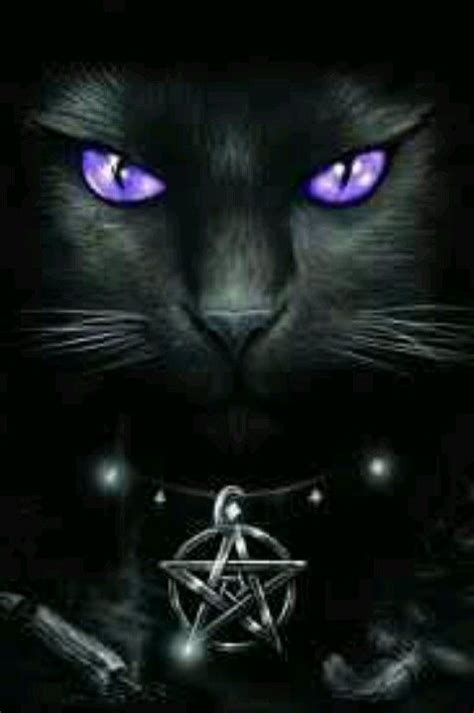 Pagan Wiccan Black Cat Art Magical Cat Cat Art