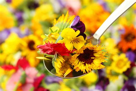 Edible Flowers From Your Garden The Peoples Friend