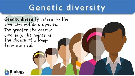 Four Types Of Diversity