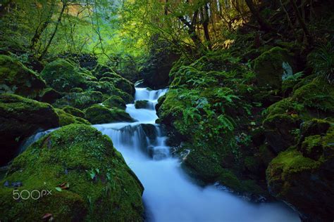 Summer Green Mountain Stream 5 The Mountain Stream Is Visited At The