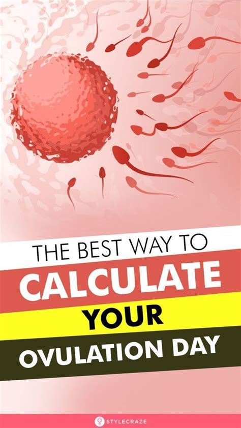 The Best Scientific Way To Calculate Your Ovulation Day Artofit