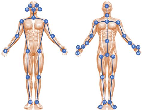 Skeleton Based Human Action Recognition Using Spatio Temporal Attention Graph Convolutional