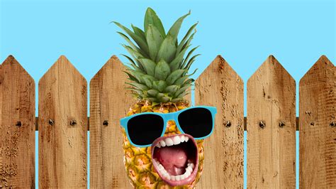 Pineapple Jokes Funny Pineapple Jokes