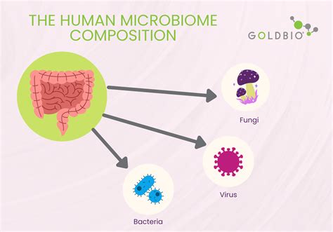 Human Infections And The Microbiome Goldbio