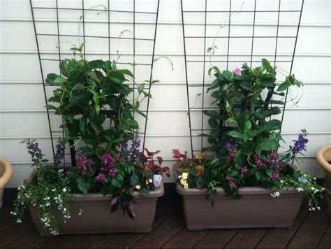 Container Gardens Are Great For Adding Character To Small Spaces