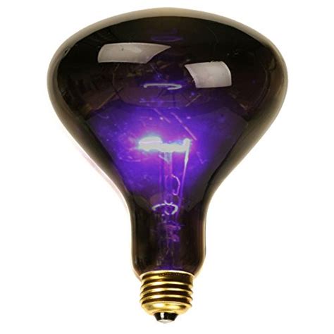 Small Black Light Spotlight Bulb Pro Video Shop