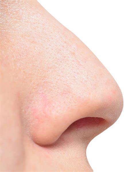 Royalty Free Human Nose Pictures Images And Stock Photos Istock