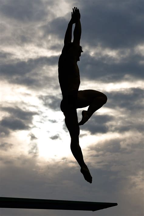 Enjoy this throwback to the diving replays of women's 3m springboard from the 2008 summer olympic games in beijing, china. Swimwear in Miami, Spanish flamingo wrangling ...