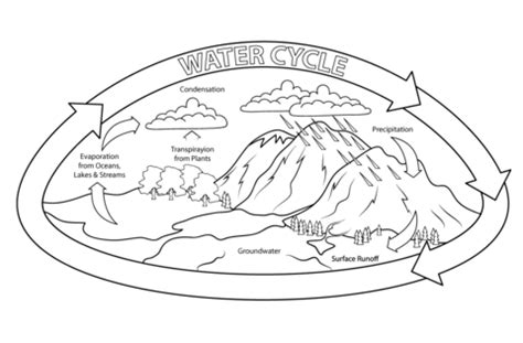 Download webb telescope fun pad pdf. Water Cycle coloring page | Free Printable Coloring Pages