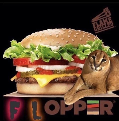400 Best Rbigfloppa Images On Pholder I Painted Big Floppa Hope You