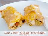 Sour Cream Chicken Enchilada Recipe Images